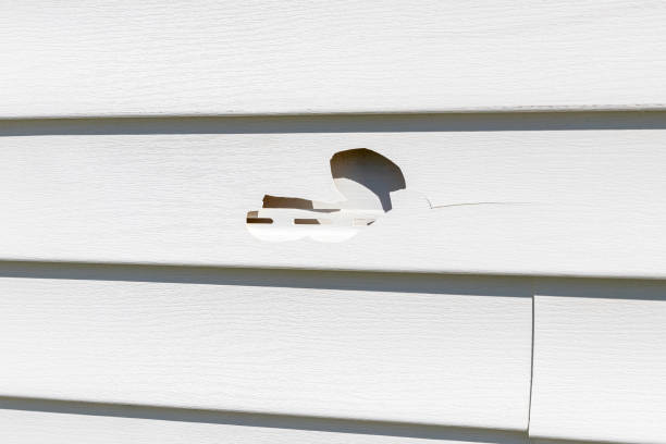 Best Custom Trim and Detailing for Siding  in Smithfield, NC